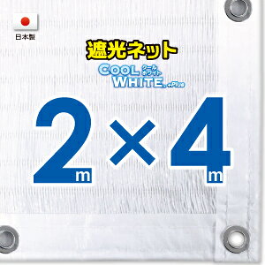 50cmngԊuyHzzCgn@Ռlbg@2mx4m@@@@iՌ75jlbg@O΍@ߓdObY