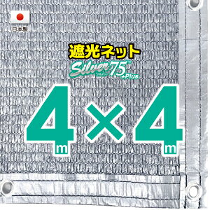 50cmngԊuyHzVo[n@Ռlbg@4mx4m@@@@iՌ75jlbg@O΍@ߓdObY