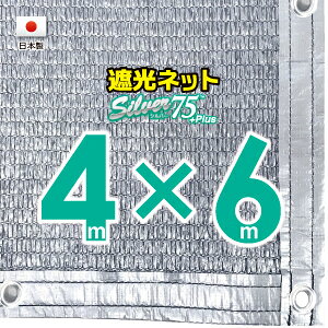 50cmngԊuHzVo[n@Ռlbg@4mx6m@@@@iՌ75jlbg@O΍@ߓdObY