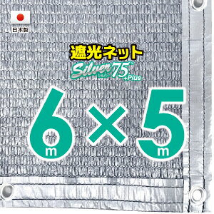 50cmngԊuyHzVo[n@Ռlbg@6mx5m@@@@iՌ75jlbg@O΍@ߓdObY