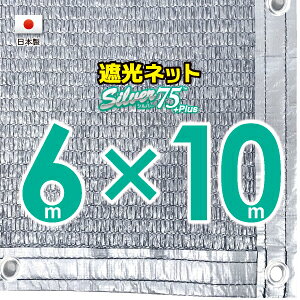 50cmngԊuyHzVo[n@Ռlbg@6mx10m@@@@iՌ75jlbg@O΍@ߓdObY