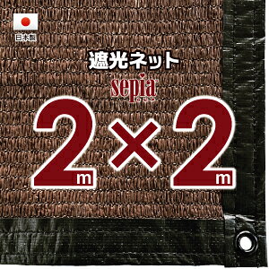 New Color Sepiafr[I Fn̎Ռlbg@2mx2miՌ 90jngt@lbg@O΍@ߓdObY