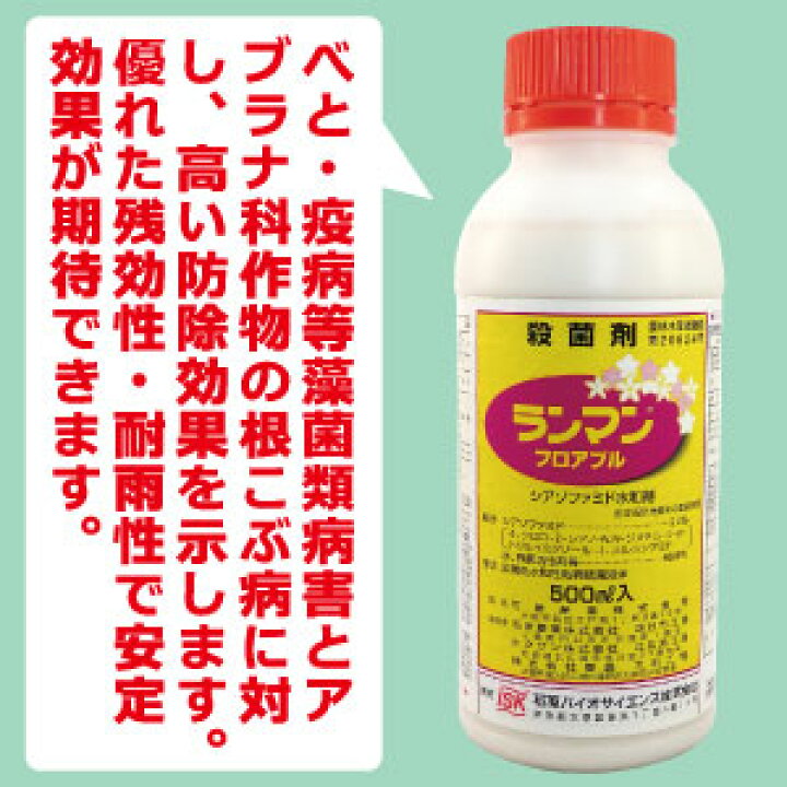 楽天市場】殺菌剤 ランマンフロアブル(500ml)シアゾファミド水和剤べと病・疫病・雪腐病・根茎腐敗病・白さび病・根こぶ病などに高い防除効果 : たかしまオンラインショップ 楽天市場】殺菌剤 ランマンフロアブル(500ml)シアゾファミド水和剤べと病・疫病・雪腐病・根茎腐敗病・白さび病・根こぶ病などに高い防除効果 : たかしまオンラインショップ