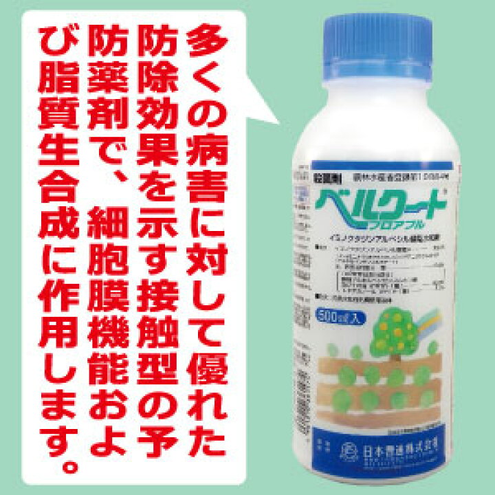 予防殺菌剤 – 農薬の効き方と特徴を知ろう 殺菌剤編 – YFKKC