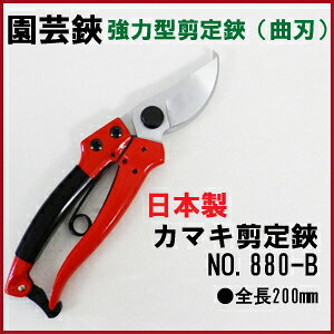 {@J}L(880-Bjn[hNbLsEԎws