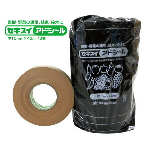 ZLXC@AhV[i15mm×40Mj10g}gEiXELE̗UEEږ؂