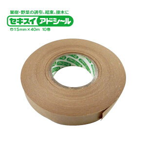 ZLXC@AhV[5i15mm×40Mjg}gEiXELE̗UEEږ؂