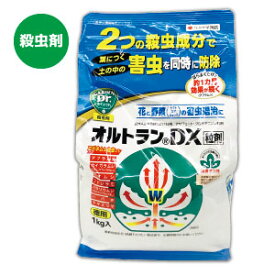 楽天市場 バラ オルトランの通販