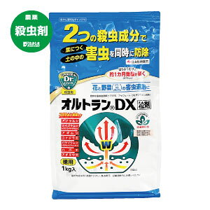 IgDX 1kg