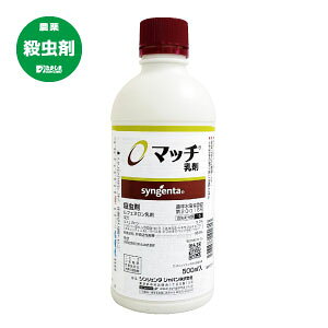 }b` 500ml