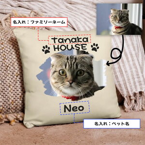 NbV Jo[ 45x45cm   `  Vv 􂦂  { 킢  L IWiNbVJo[ IWivg ʐ^  