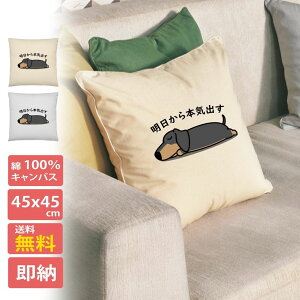 y30%OFFN[|z10/13sX|[c̏HZ[t NbV Jo[ 45x45cm   `  Vv 􂦂  { 킢   _bNXtg {Co