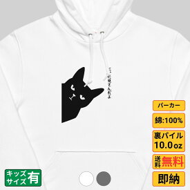 パーカー メンズ レディース スウェット トップス 長袖 裏パイル 大きいサイズ ゆったり かわいい おもしろ ねこ 猫 ペアルック にゃに見てんだよ 送料無料