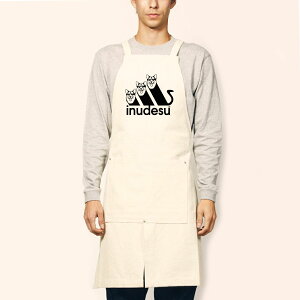 R[M[ Corgi INUDESU 2 Gt cC Gv CXg Gt fB[X n ̓ G 