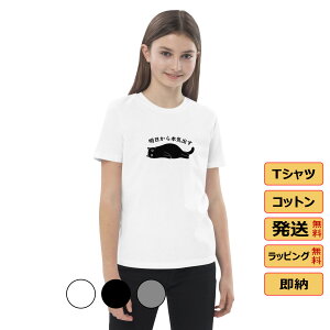 TVc Y fB[X   tVc 킢 LtVc LObY L ˂ Vc LD ˂ L yAbN {Co 