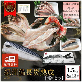 母の日早割10％OFFプレミア和歌山特別賞 紀州備長炭熟成 干物 （6種13枚） ギフトセット ギフト セット ひもの 干物 干物セット お取り寄せ 切り身 無添加 詰め合わせ 大容量 魚 真空パック アジ ほっけ シャケ さわら ひらす