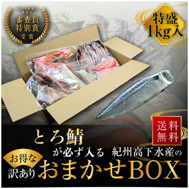 プレミア和歌山特別賞 紀州備長炭熟成 訳あり （ おまかせ とろ鯖1kg ） ひもの 干物 干物セット お取り寄せ 切り身 無添加 詰め合わせ 大容量 訳あり 訳ありセット 魚 真空パックさかな セット 冷凍 西京漬 アジ ほっけ シャケ さわら ひらす さば 鯖 カレイ