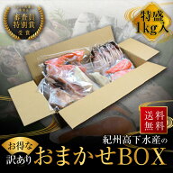 プレミア和歌山特別賞 紀州備長炭熟成 訳あり （ おまかせ BOX 1kg ） ひもの 干物 干物セット お取り寄…