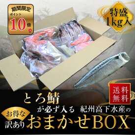 ポイント10倍　プレミア和歌山特別賞 紀州備長炭熟成 訳あり （ おまかせ とろ鯖1kg ） ひもの 干物 干物セット お取り寄せ 切り身 無添加 詰め合わせ 大容量 訳あり 訳ありセット 魚 真空パックさかな セット 冷凍 西京漬 アジ ほっけ シャケ さわら ひらす さば 鯖 カレイ