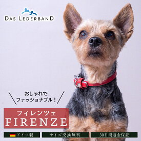 ドイツ製 高級本革 首輪 Das Lederband レダーバンド 「Firenze（フィレンツェ）」 おしゃれ ファッション 首輪 レザー 本革 柔らかくて丈夫 有害化学物質不使用 エコテックス認証 小型犬 中型犬 大型犬 土日もあす楽 ＼当店限定レビュー特典付／