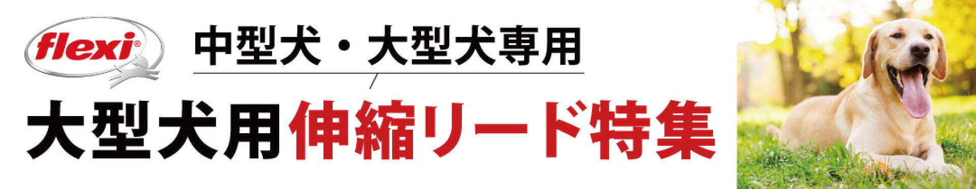 大型犬専用の伸縮リード