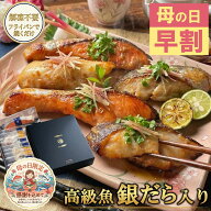 ＼早割！クーポンで10％OFF／ 母の日 2026 プレゼント 銀だら 西京漬け ギフト 漬け魚 詰め合わせ 焼き魚…
