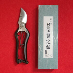 Ȑ B^   180mm ~y ͂ nT~Ȑ쉀|쏊 Â܂z