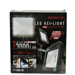 HATAYA LEDCg LEDEKEI LIGHT 30WFlED R[hF5.0m S3000[ LWA-30yJ쏊 z