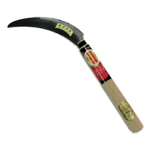 L ̂芙y  dB O zEl ~L  z