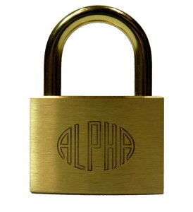 ALPHA 싞 W^Cv 1000-45 yAt@z
