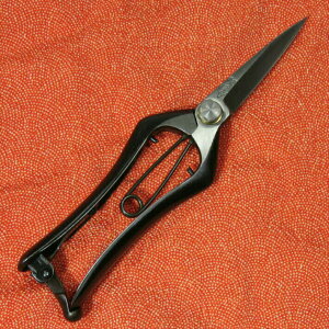 Ȑ n  200mmyn   ͂ nT~ Ȑ쉀|쏊z