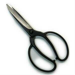 @ A؉ 120mm No.204 | JVygn쏊  |z