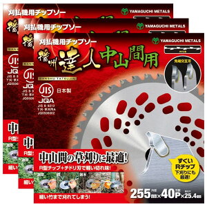 u[h(R) @p `bv\[ dBBl Rԗp 255mm×40n SR^ 3Zbg