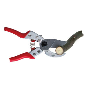 ARA@Ar VA-8Z 205mmyAXR[|[Vz