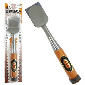 ̂ݏ Wނ̂ Ǔ nCX| Ԋ~ 4(42mm)yRHƏ ̂ m~ w  O؁z