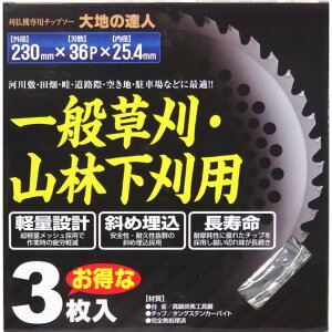 @p`bv\[ n̒Bl 230mm×36P@3yې GW [d @ z