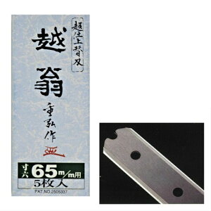 iVgH ֐n  z 65mm (Z) ֐n 5y  Ji ֐nz