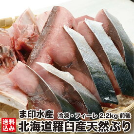 北海道羅臼産 天然ぶり フィーレ 2.2kg前後 (冷凍 加熱用) 半身 北海道産 国産 鰤 しゃぶしゃぶ ぶりしゃぶ 海産物 海鮮 旬 お取り寄せ 問屋直送 送料込み 送料無料