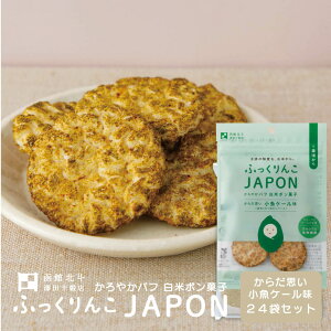 ӂJAPON Ȃ 15g(10) 4 24 Y kC   |َq pt `bvX ׂ   َq H Ԃ ǂ q ӂ  xr 