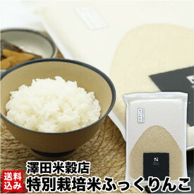 ＼お買い物マラソン期間P+2倍／ 新米【令和6年度米】 特別栽培米 北海道米 ふっくりんこ (北斗市産) 1.5kg ジップ付 真空パック ふっくら 冷めてもおいしい JAL国内線ファーストクラス採用 精米 玄米 白米 契約農家 澤田米穀店 産地直送 送料無料