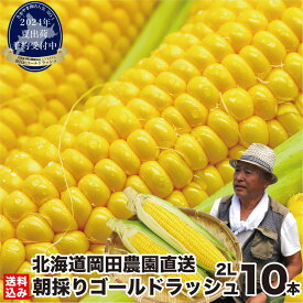お買い物マラソンP+10倍 【7月下旬出荷予定】 ＼とうもろこしランキング1位獲得／ 夏ギフト とうもろこし 北海道産 ゴールドラッシュ 2L(400g前後/本) ×10本 朝採り 生食用 スイートコーン ギフト 贈り物 野菜 人気 売れ筋 ランキング お取り寄せ とうきび 岡田農園