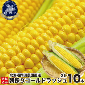 お中元【楽天スーパーSALE 20%OFF】 とうもろこし 北海道産 ゴールドラッシュ 2L(400g前後/本) ×10本 朝採り 生食用 スイートコーン ギフト 贈り物 野菜 人気 売れ筋 ランキング お取り寄せ とうきび 岡田農園＼2024年夏出荷 早期予約受付中！／