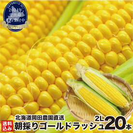 お中元【楽天スーパーSALE 20%OFF】 とうもろこし 北海道産 ゴールドラッシュ 2L(400g前後/本) ×20本 朝採り 生食用 スイートコーン ギフト 贈り物 野菜 人気 売れ筋 ランキング お取り寄せ とうきび 岡田農園＼2024年夏出荷 早期予約受付中！／