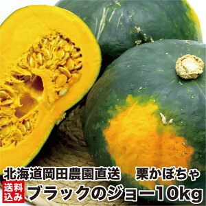 \t_2025NH^ kCY ڂ ubÑW[ 5kg (2~5 ws) zNzN Iڂ J{` _ ÂݔQ Ǐn kC yY 퉷 Y_ƒ NxQ 
