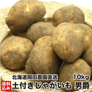 _2025NH^ Ⴊ j kCY j݂ M-LTCY 5kg yt Ⴊ n鏒 zNzN _ kC yY 퉷 Y_ƒ NxQ ђ c_ Yn 