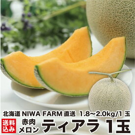 【予約 7月下旬出荷】 北海道産 赤肉メロン ティアラ 1玉 (1.8〜2.0kg/玉)　数量限定 お取り寄せ 贈答品 夏ギフト フルーツ 果物 産地直送 農園直送 ニセコ町 NIWA FARM 送料無料