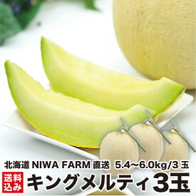 【予約 7月下旬出荷】 北海道産 青肉メロン キングメルティ 3玉 (1.8〜2.0kg/玉)　数量限定 お取り寄せ 贈答品 夏ギフト フルーツ 果物 産地直送 農園直送 ニセコ町 NIWA FARM 送料無料