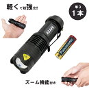 �����������������б�ñ3������1�ܿ͵������ȥɥ��쥸�㡼�����������ɺ�LED�����������ϥߥ˥ϥ�ǥ��饤�ȥե�å���饤��CREEQ5200�롼��󥺡���