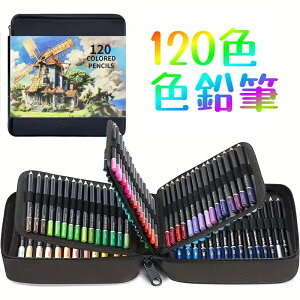 120F FM vdl Zbg [P[Xt ʂG A[g fUC XPb`   w l S 蕨 LxȐF F `₷