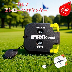 2_ZbgStJE^[ `XRAJE^[ 2Xg[NpbgL^ Zbg@\t ȒP gѕ֗ RpNgfUC KpEEhpɍœK StXRAL^c[